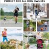 Adjustable Waist Belt Hands Free Dog Leash for Running Training