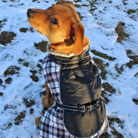 Alpine All Weather Dog Coat (Color/Design: Black/White Plaid)