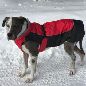 Alpine All Weather Dog Coat (Color/Design: Red/Black)