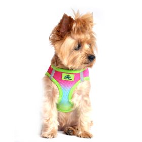 American River Choke Free Dog Harness Ombre Collection (Color/Design: Rainbow)