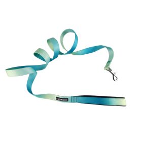 American River Ombre Leash (Color/Design: Aruba Blue)