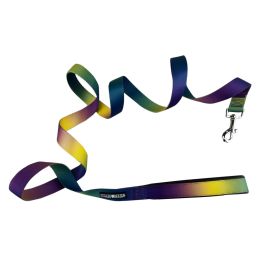 American River Ombre Leash (Color/Design: Cosmic Splash)