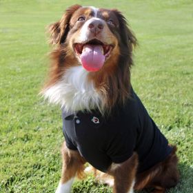 Solid and Striped Dog Polo (Color/Design: Black)