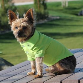 Solid and Striped Dog Polo (Color/Design: Green Flash)