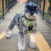 Venture Paw Pull Control Dog Harness