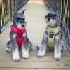 Venture Paw Pull Control Dog Harness