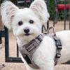 Venture Paw Pull Control Dog Harness