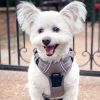 Venture Paw Pull Control Dog Harness