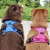 Venture Paw Pull Control Dog Harness