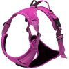 Venture Paw Pull Control Dog Harness