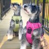 Venture Paw Pull Control Dog Harness