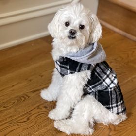 Weekender Dog Sweatshirt Hoodie (Color/Design: Black and White Plaid Flannel)